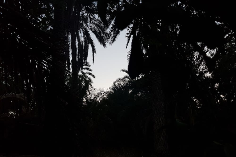 Photo of Outdoor in Tozeur