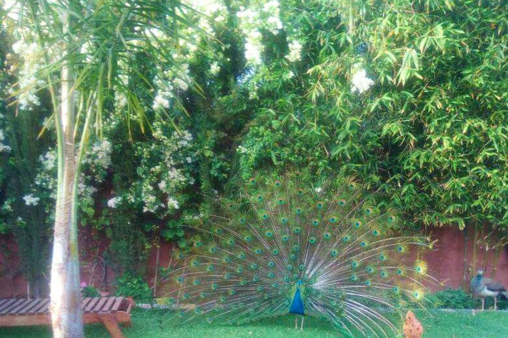 Photo of Outdoor in Ait Zat
