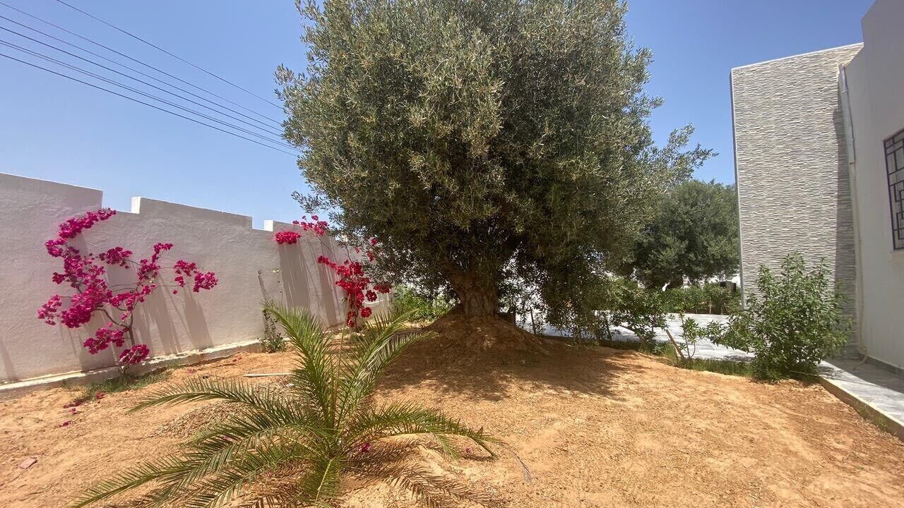 Photo of Outdoor in Arkou