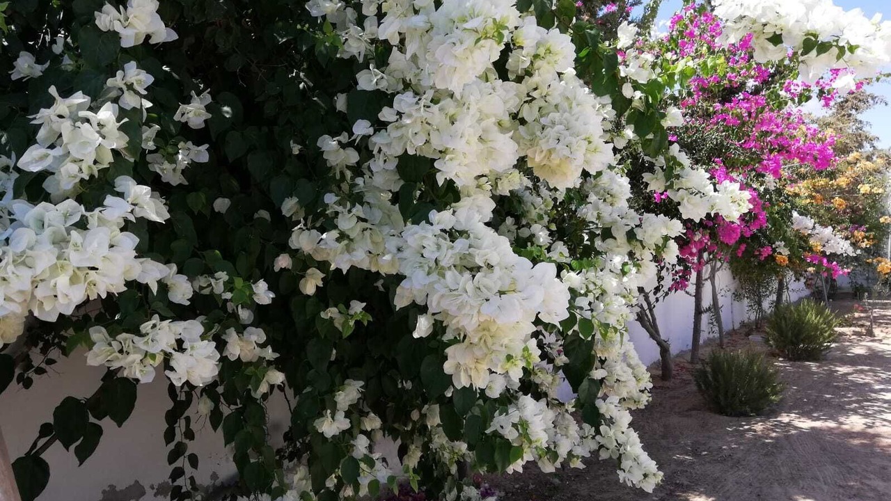 Photo of Outdoor in Zarzis
