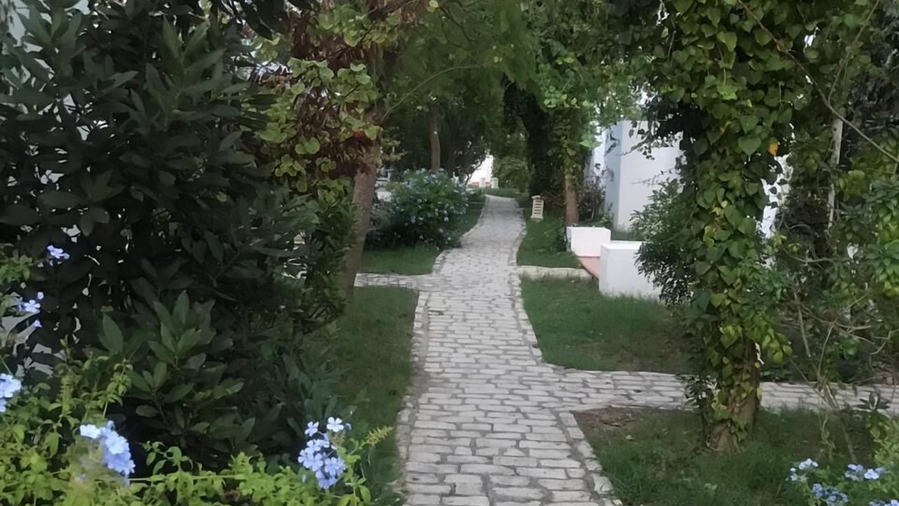 Photo of Outdoor in Yasmine