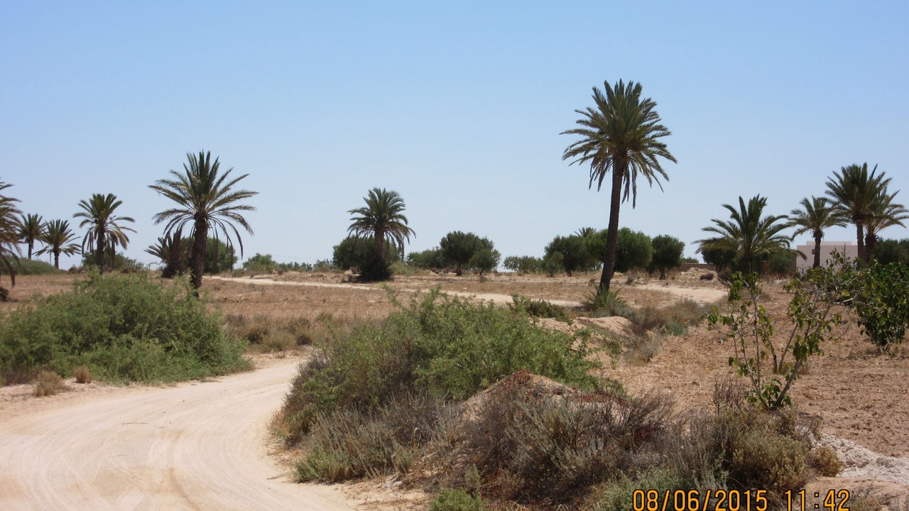 Photo of Outdoor in Djerba Ajim