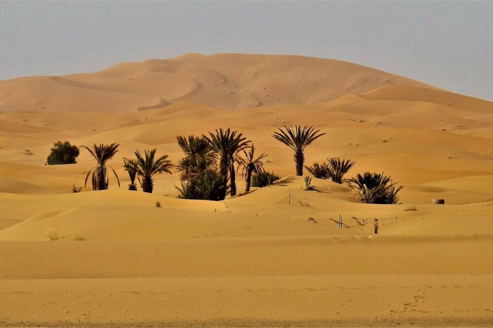 Photo of Others in Hassilabied