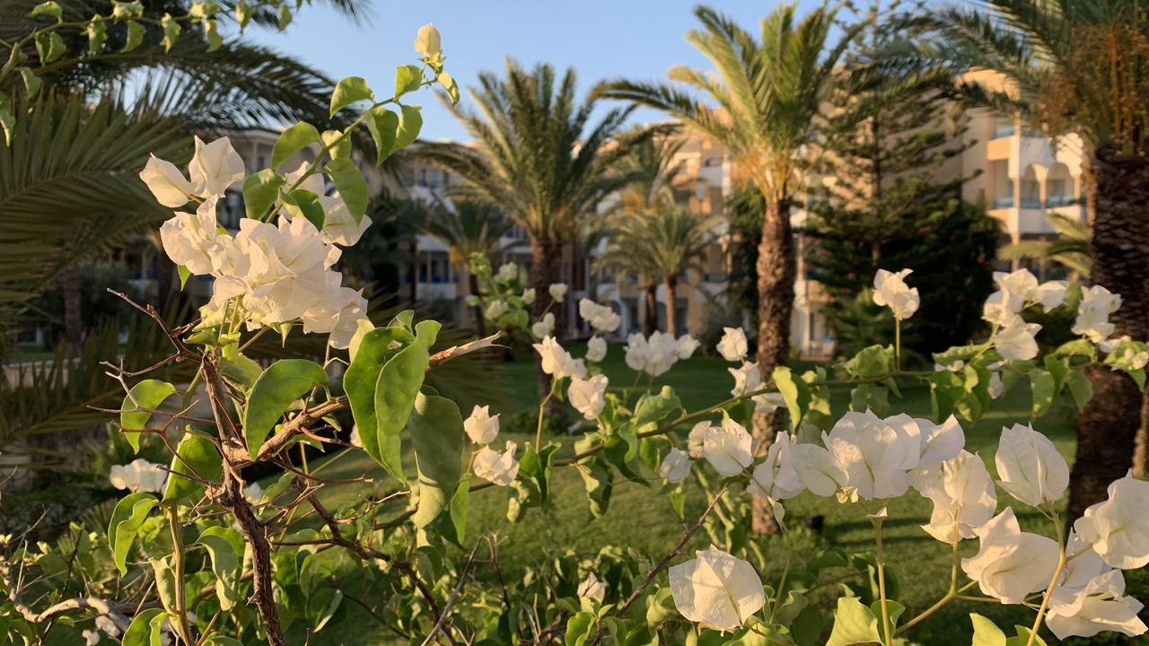 Photo of Outdoor in Yasmine