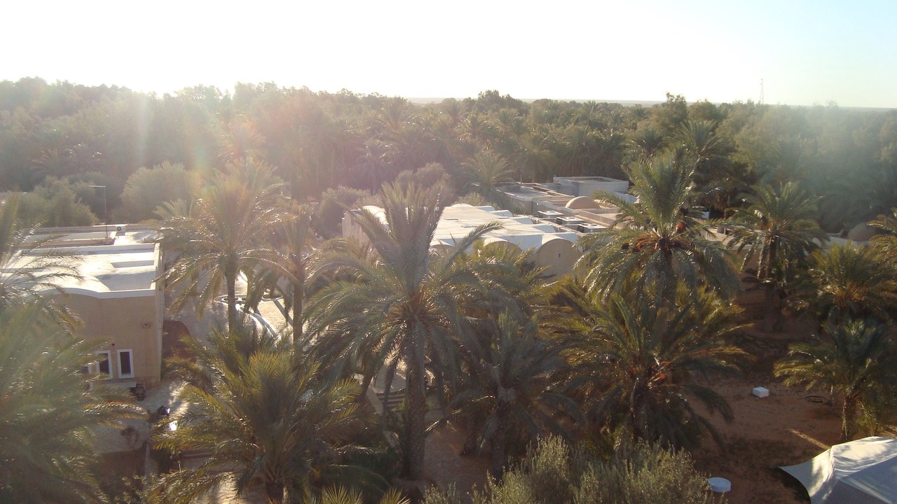 Photo of Outdoor in Ksar Ghilane