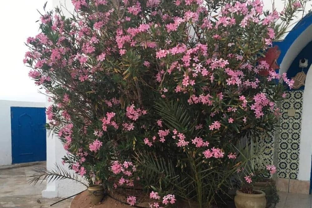 Photo of Outdoor in Houmt Arbah