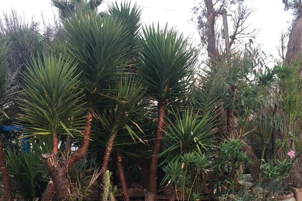 Photo of Outdoor in Houmt Arbah