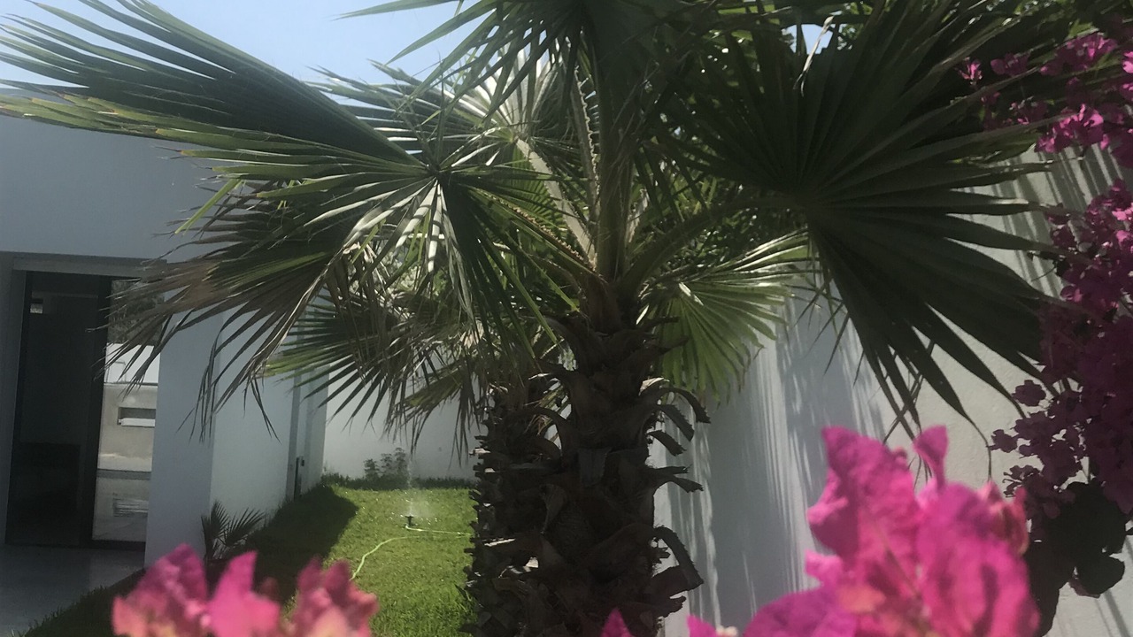 Photo of Outdoor in La Soukra