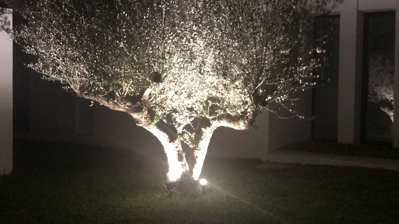 Photo of Outdoor in La Soukra