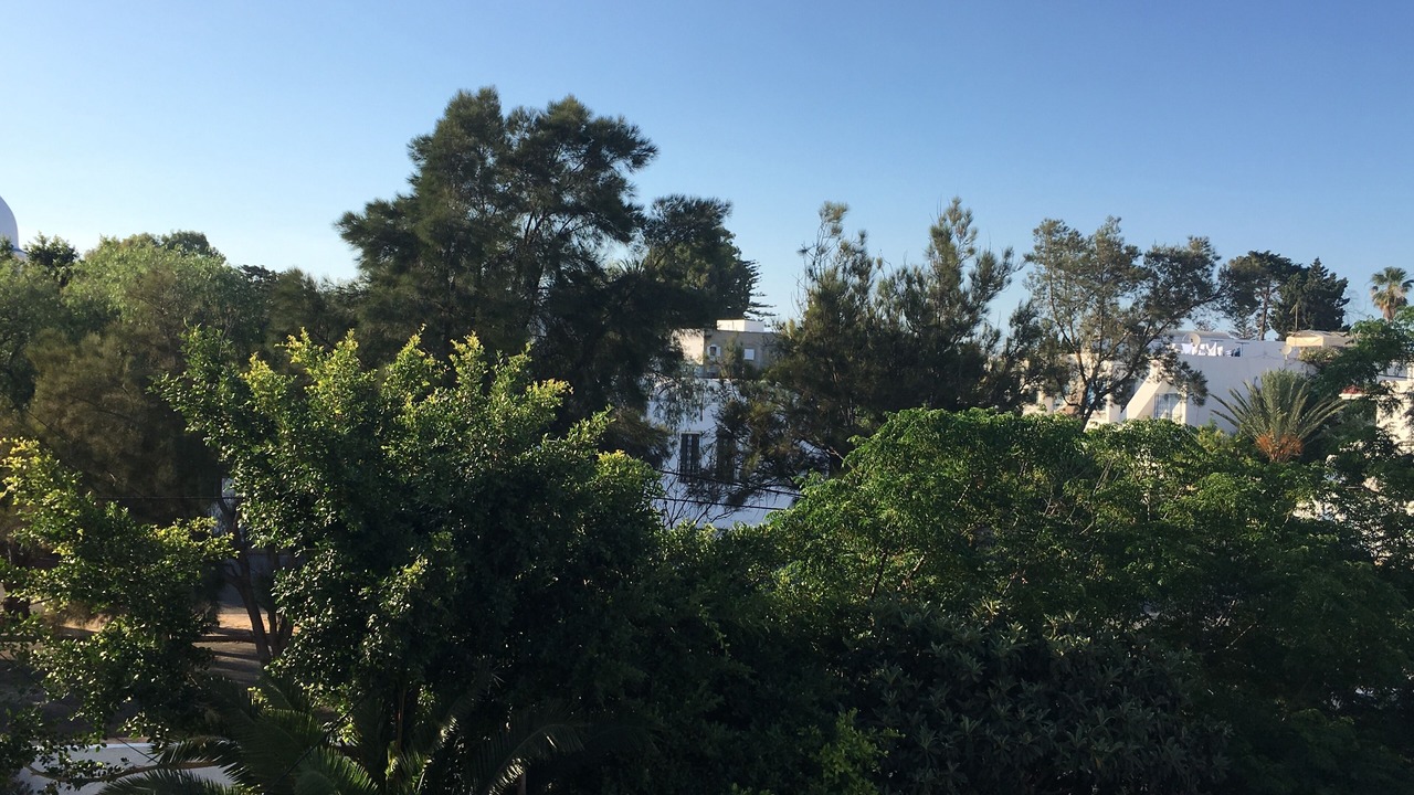 Photo of Outdoor in Sidi Abdel Aziz
