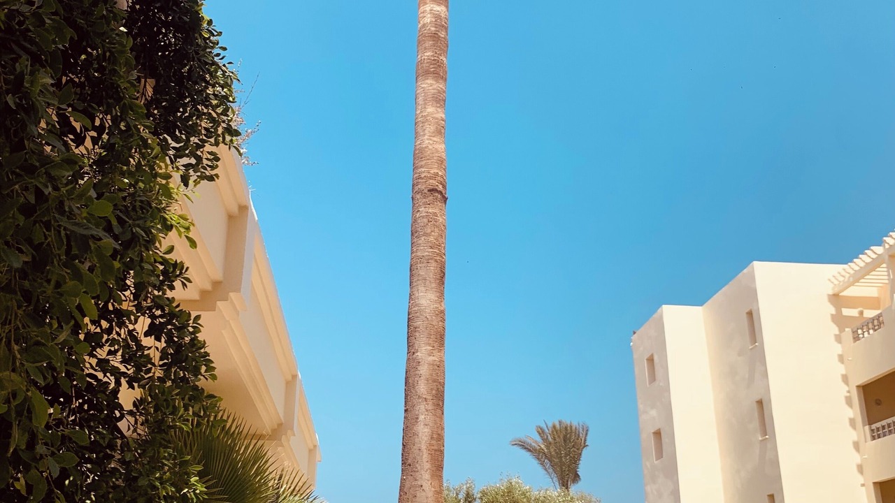 Photo of Outdoor in Sousse