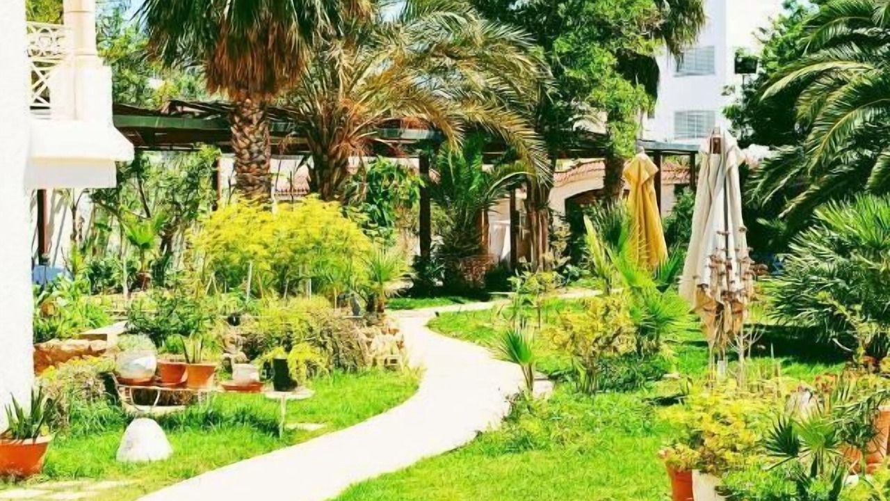 Photo of Outdoor in Sidi Mahrsi