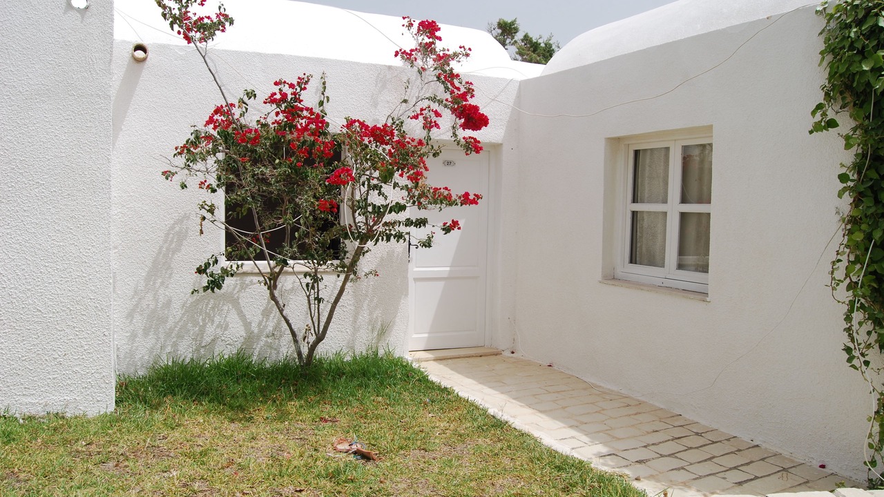 Photo of Outdoor in Soliman