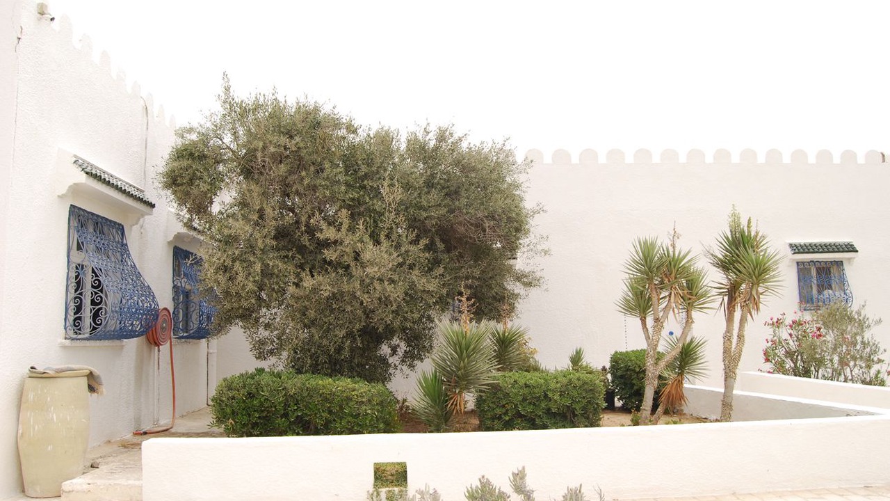 Photo of Outdoor in Soliman