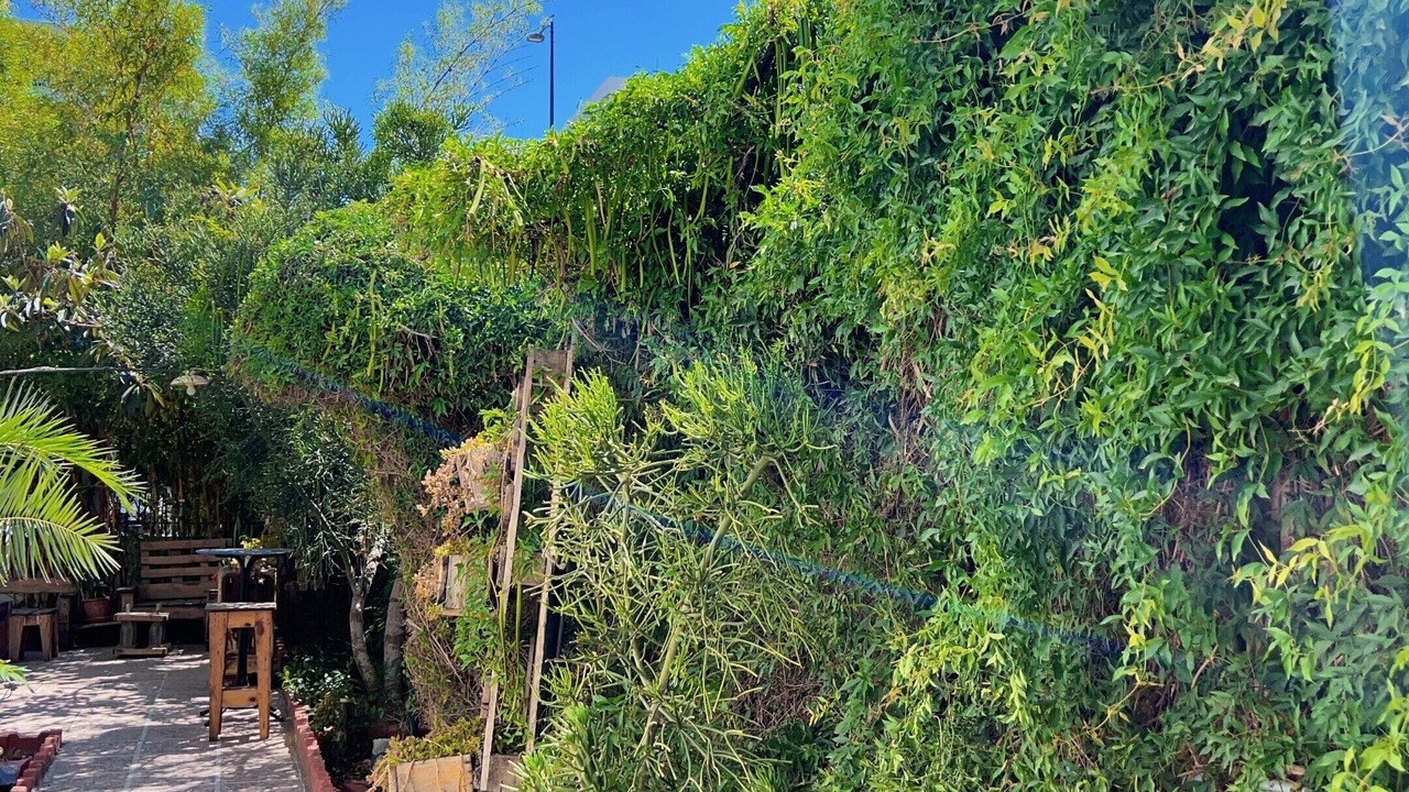 Photo of Outdoor in Jeanne d'Arc