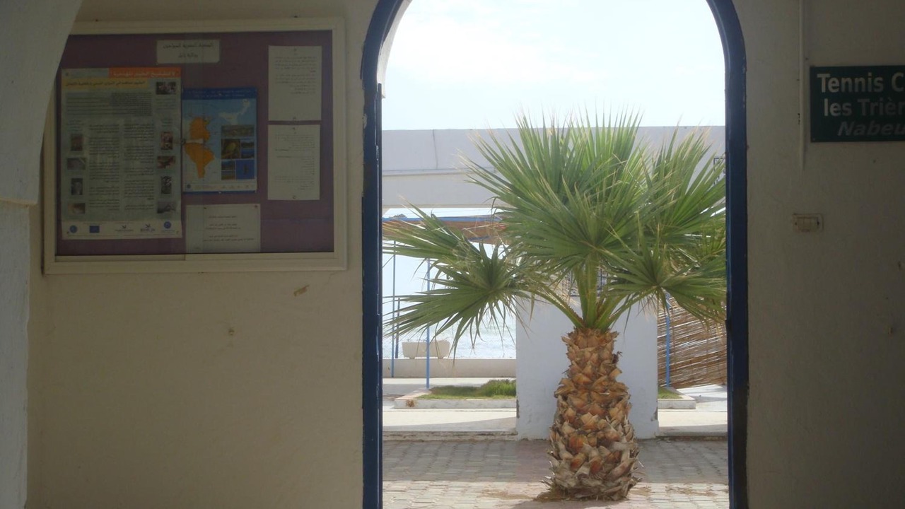 Photo of Others in Nabeul