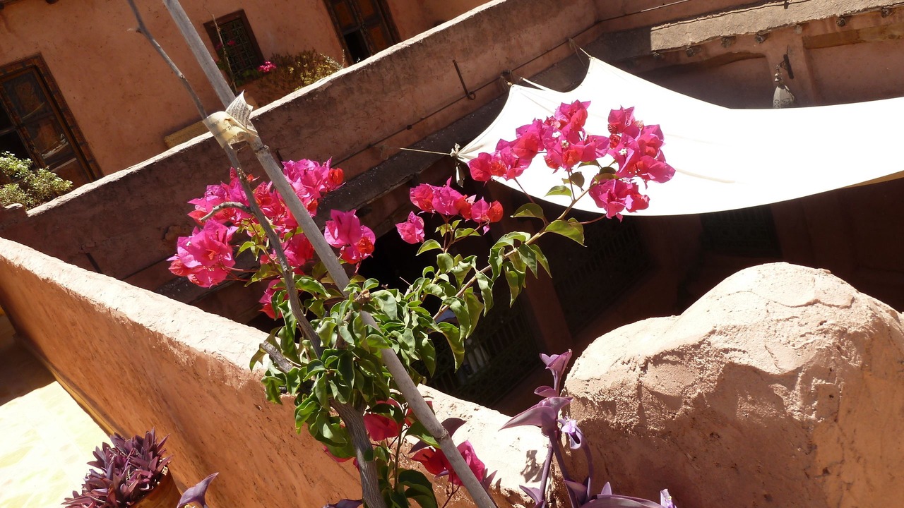 Photo of Patio Balcony in Ouzoud