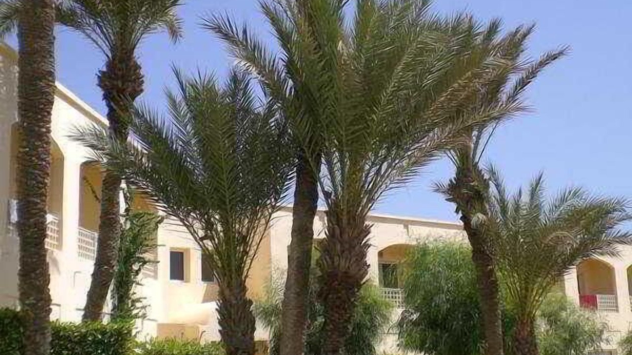 Photo of Outdoor in Sawahil