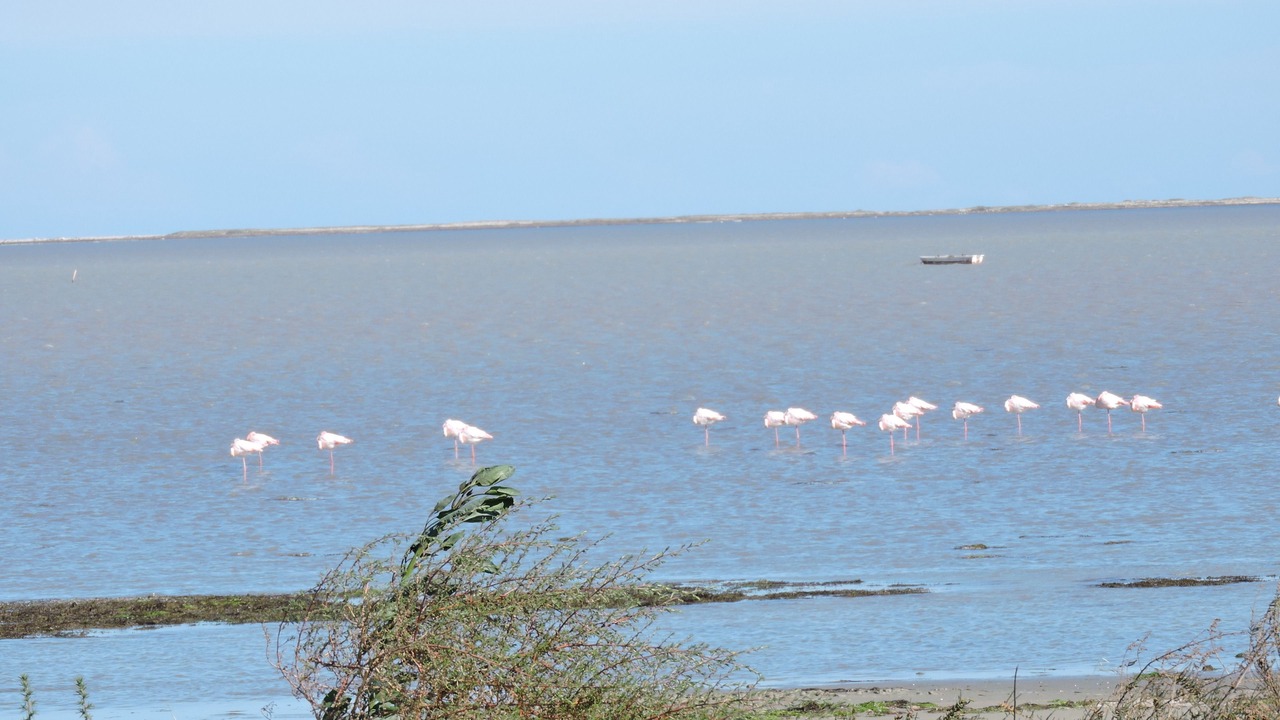 Photo of Outdoor in Fatou