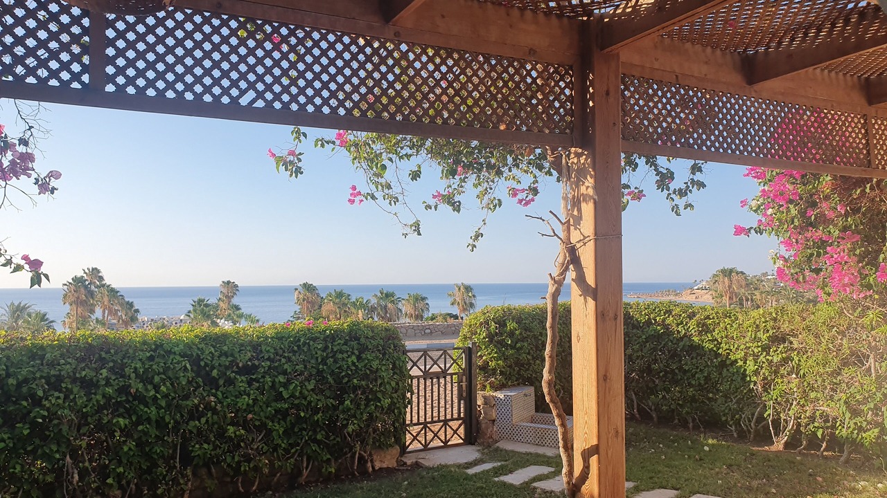 Photo of Others in Sharm El Sheikh