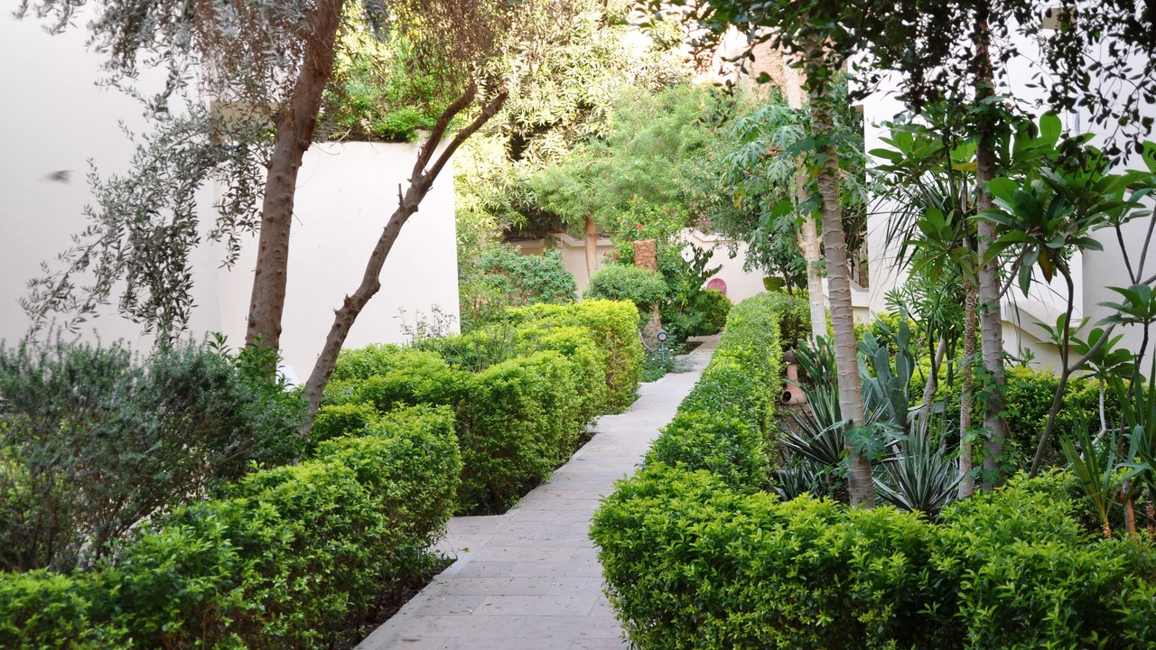 Photo of Outdoor in Luxor