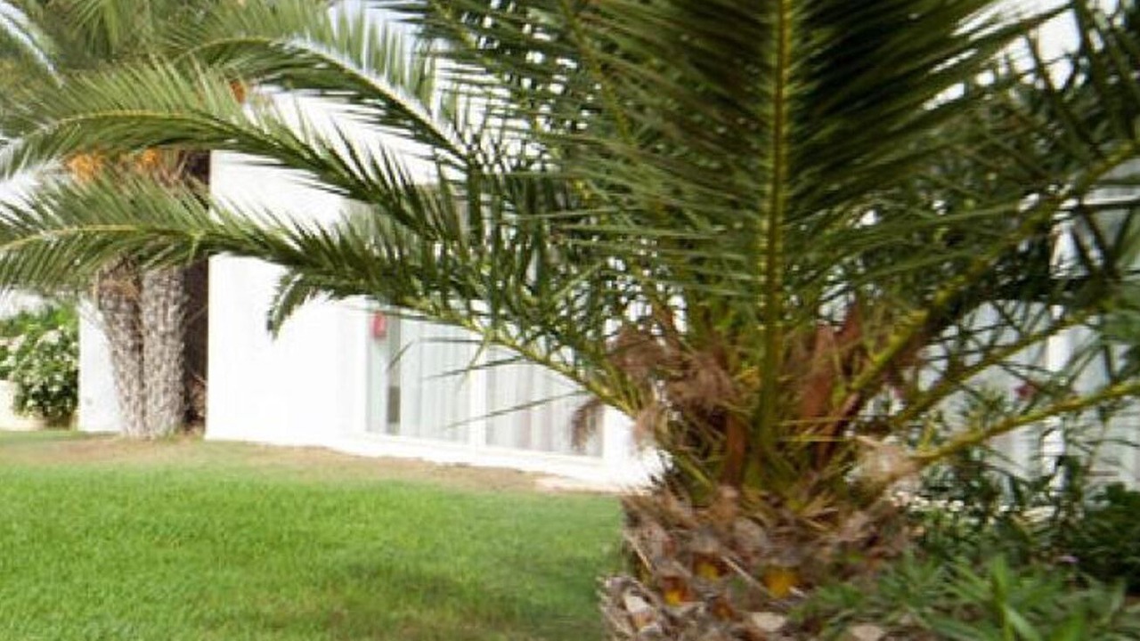 Photo of Outdoor in Sousse - Monastir