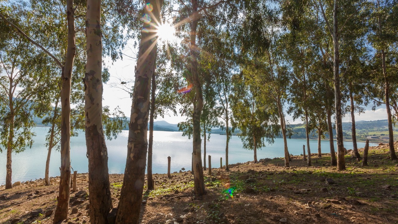 Photo of Outdoor in Hammam Bourguiba