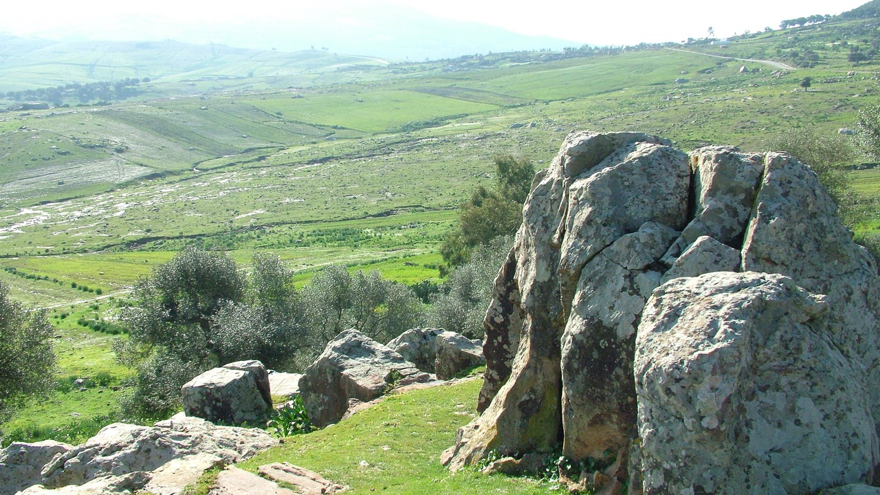 Photo of Others in Hammam Bourguiba