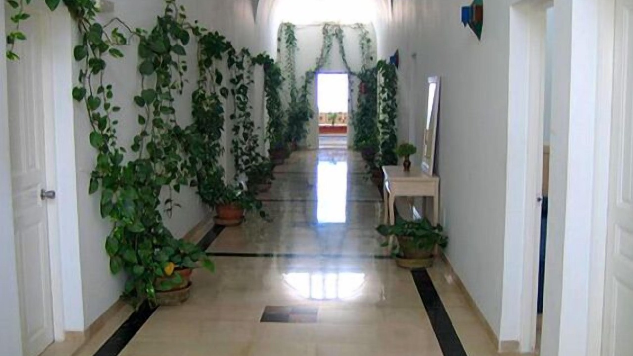 Photo of Others in Djerba Midun