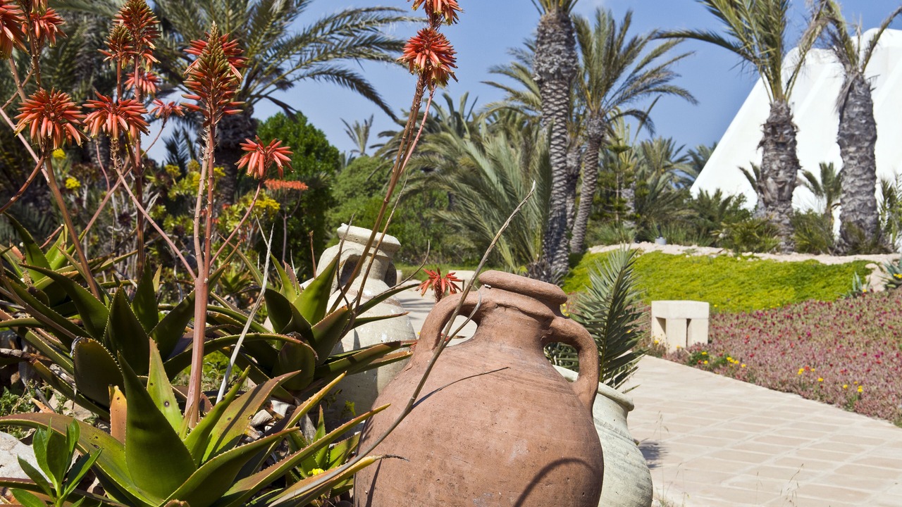Photo of Outdoor in Mezraia