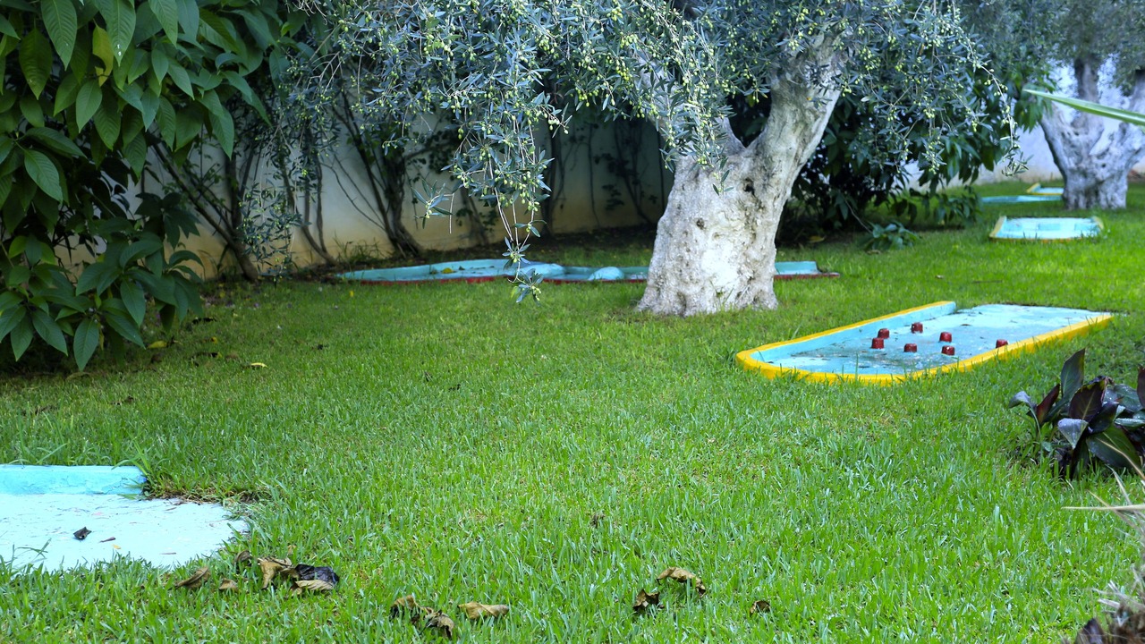 Photo of Others in Hammamet Sud