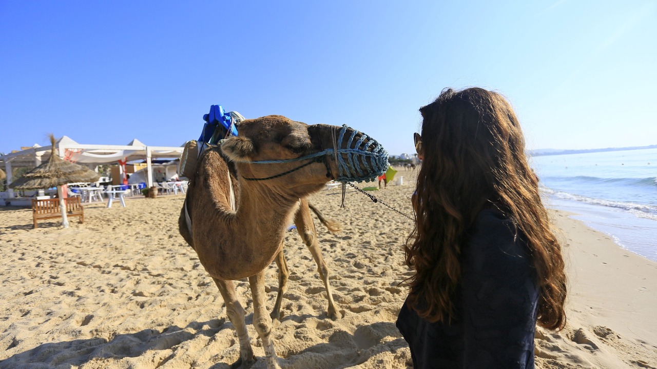 Photo of Others in Hammamet Sud