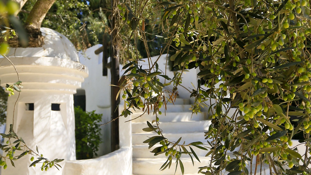 Photo of Outdoor in Hammamet Sud