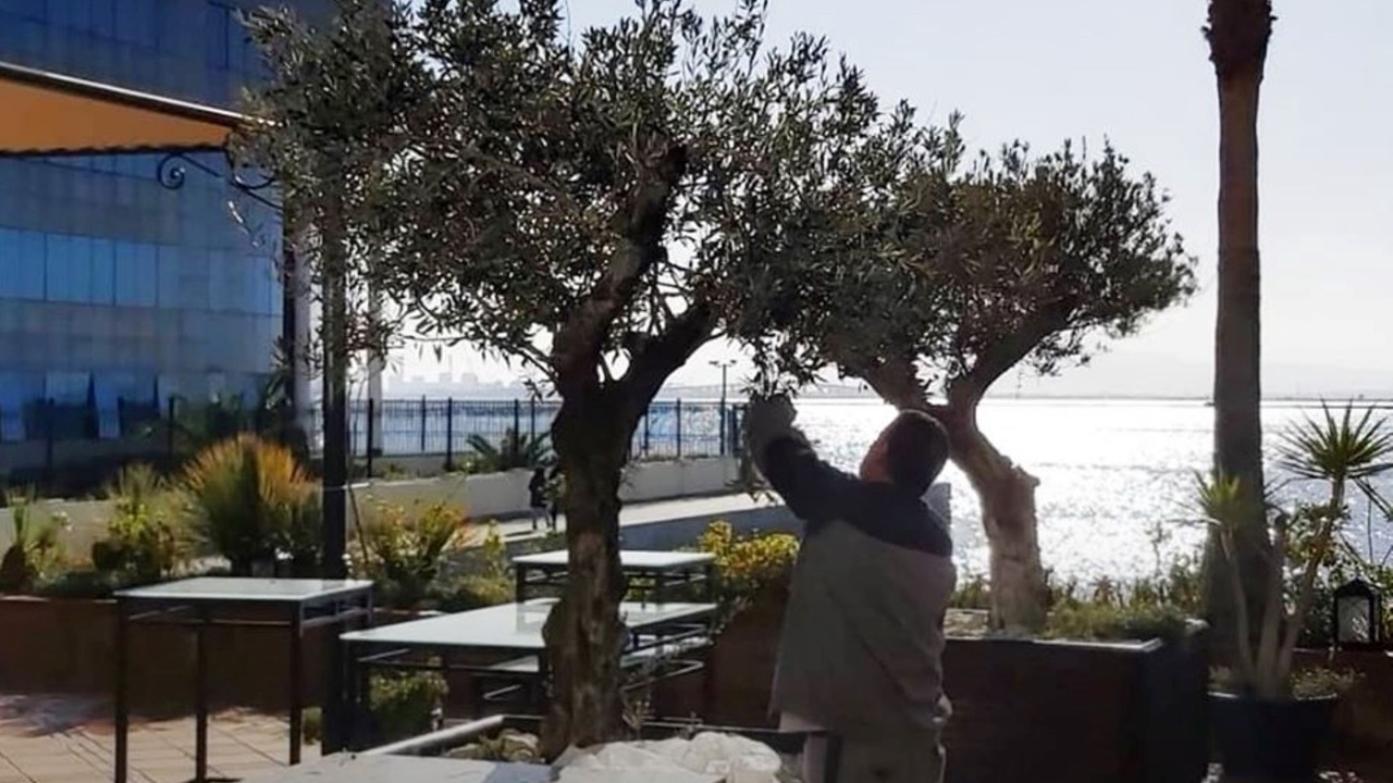 Photo of Outdoor in Les Berges du Lac