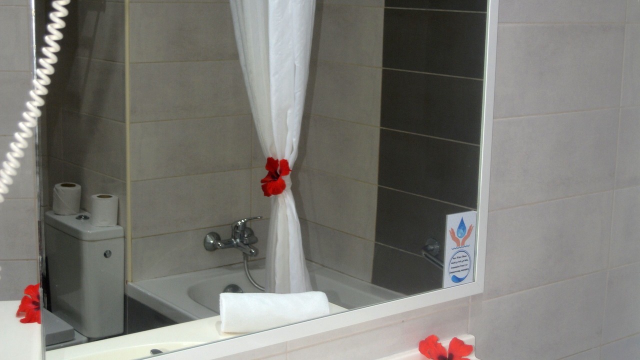 Photo of Bathroom in Triffa