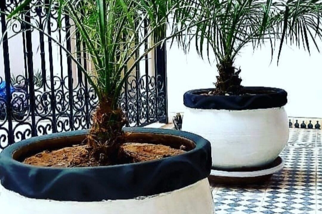 Photo of Outdoor in Essaouira