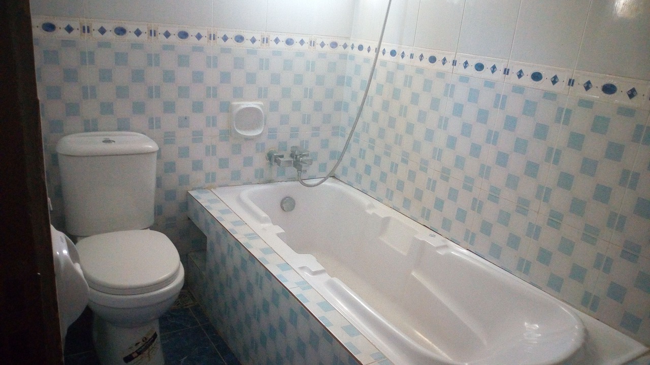 Photo of Bathroom in Ota