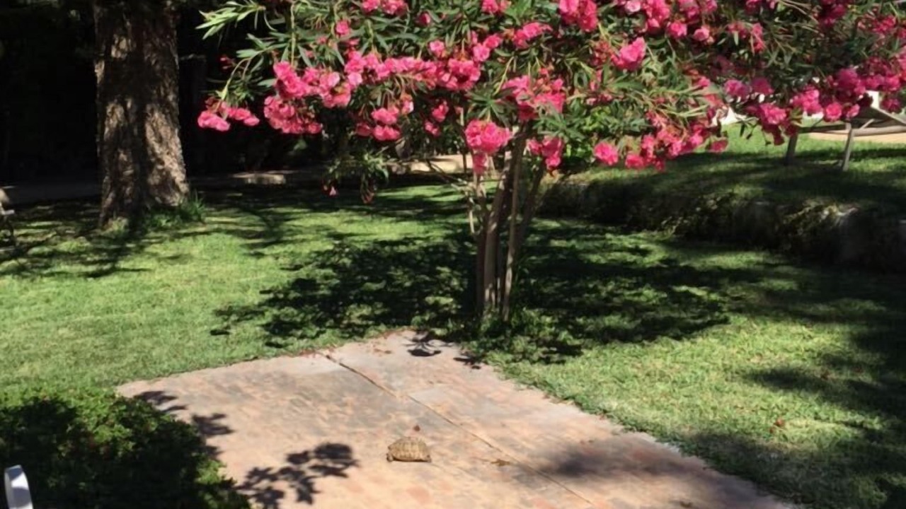 Photo of Outdoor in Ennasr