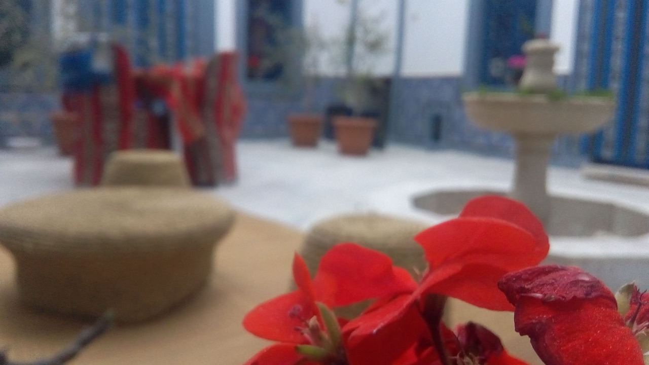 Photo of Outdoor in Medina de Sousse