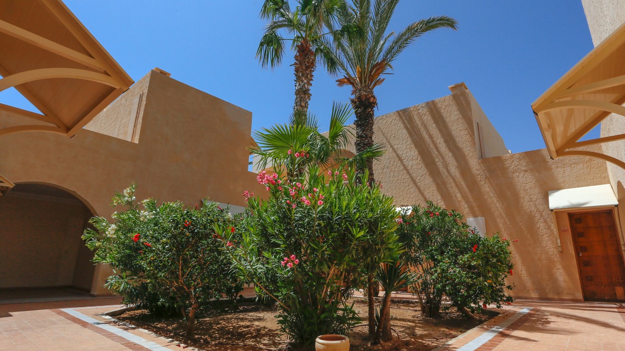 Photo of Outdoor in Playa Sidi Mehrez