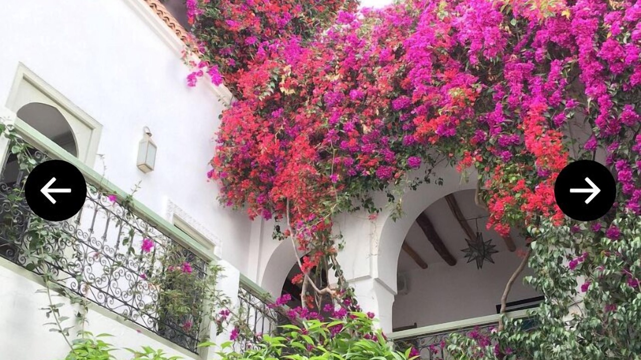 Photo of Outdoor in Medina