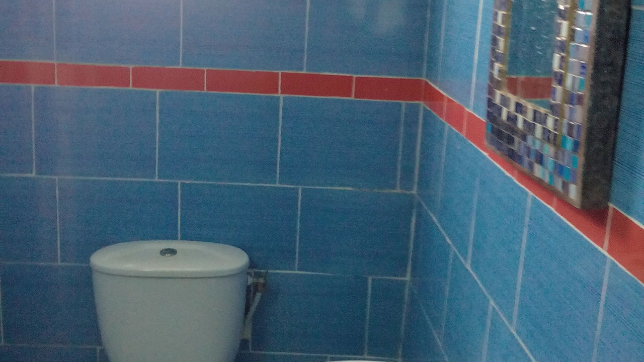 Photo of Bathroom in Ariana Governorate