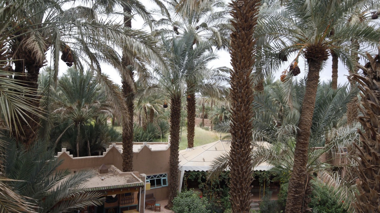 Photo of Outdoor in Amezrou