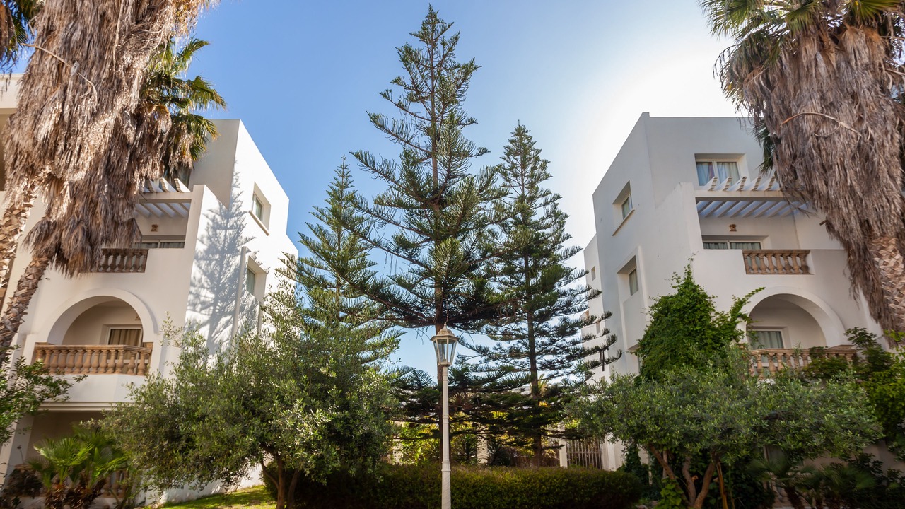Photo of Outdoor in Yasmine