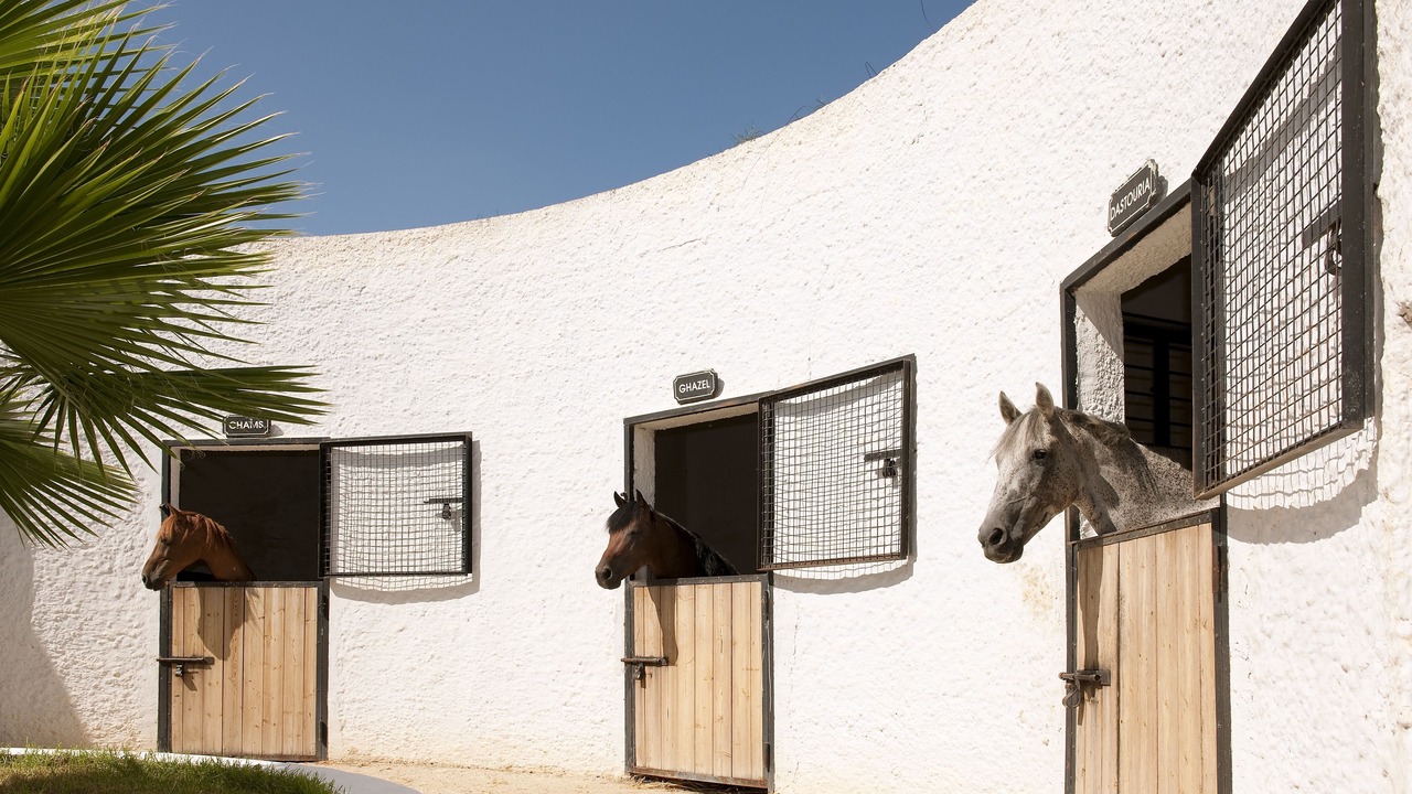 Photo of Others in Hammamet Sud