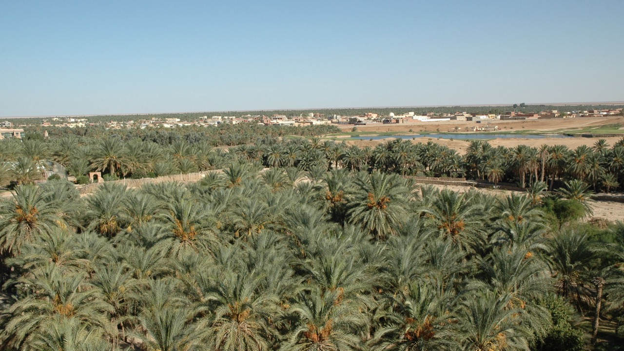 Photo of Outdoor in Tozeur