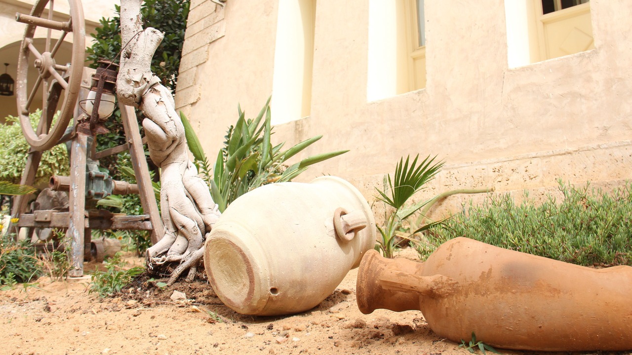 Photo of Outdoor in Sfax