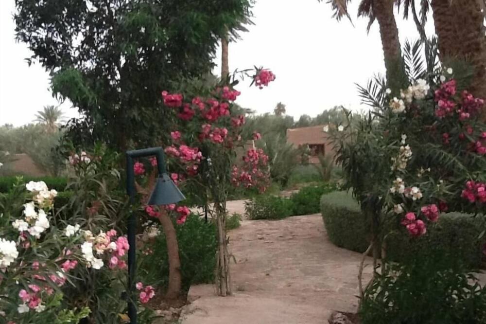 Photo of Outdoor in Erfoud