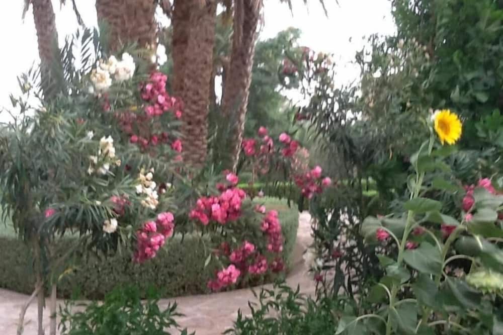 Photo of Outdoor in Erfoud