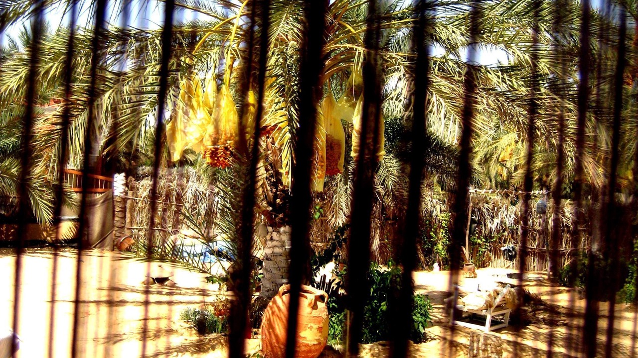 Photo of Others in Douz